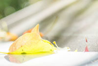 欧冠前瞻：新军凯拉特客战盼取首胜，哥本哈根状态起伏不定